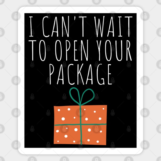 Christmas Humor. Rude, Offensive, Inappropriate Christmas Design. I Can't Wait To Open Your Package In White Magnet by That Cheeky Tee